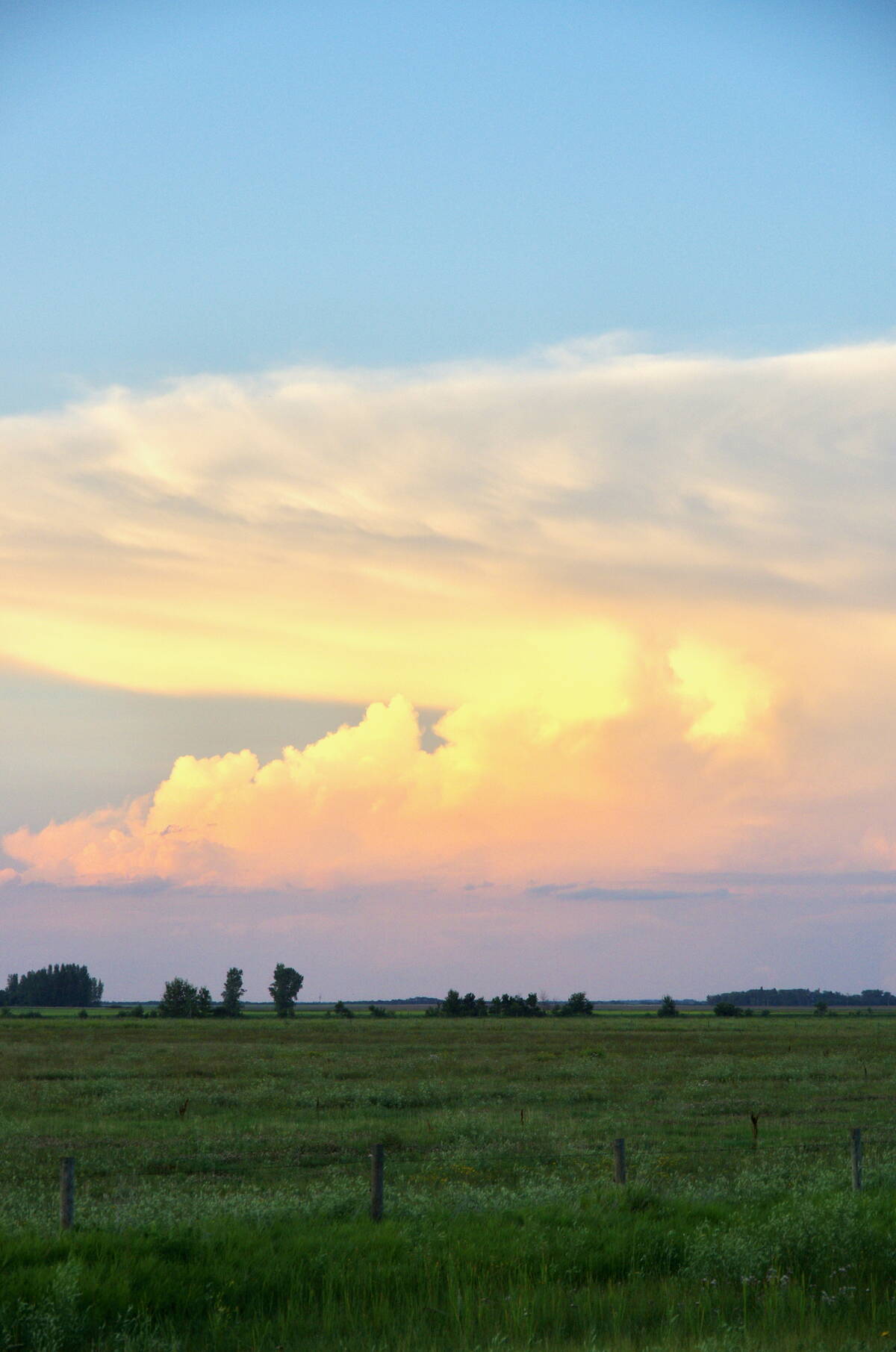 An evening thunderstorm rolls through southwestern Manitoba in early August 2025. Photo: Alexis Stockford