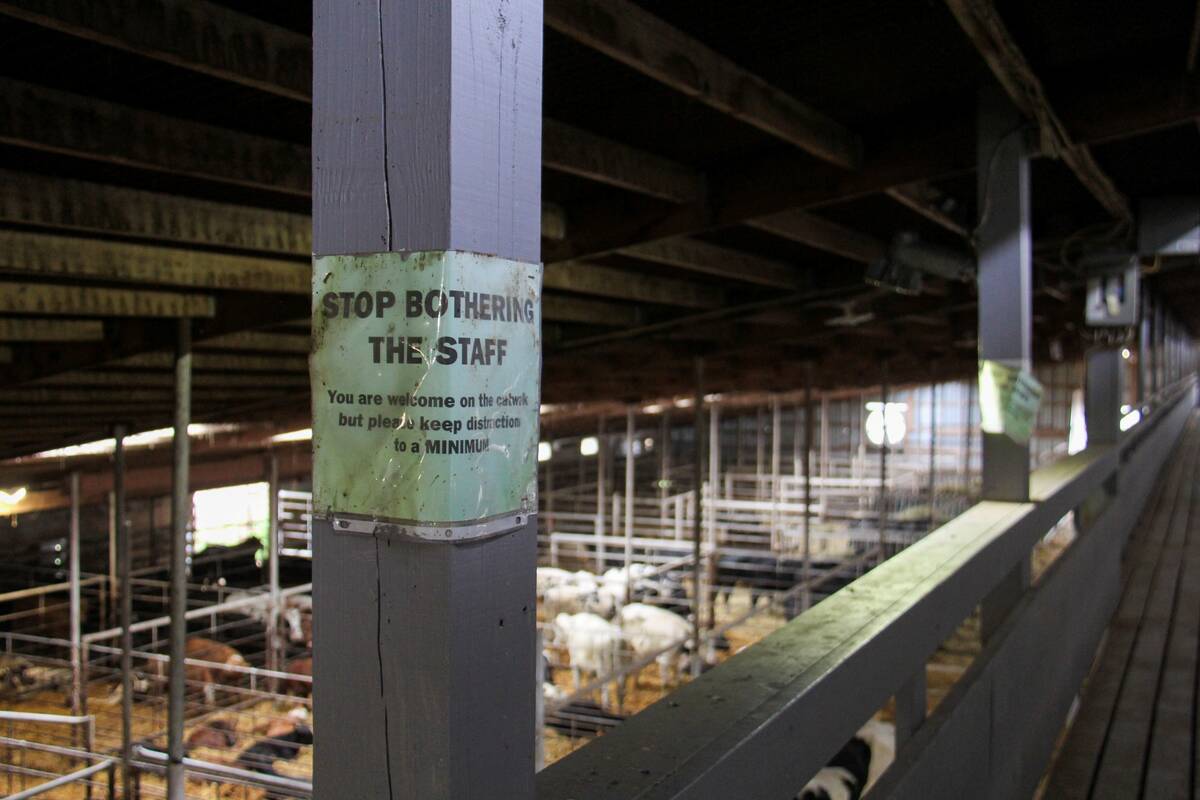 A sign warns visitors to the Grunthal Livestock Auction to not bother workers. 
Photo: Geralyn Wichers