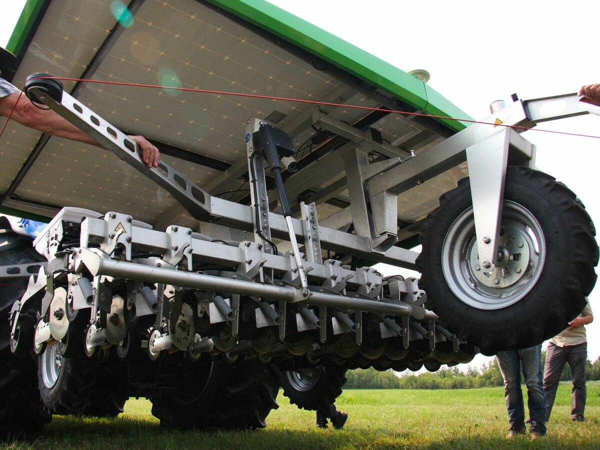 View from beneath FarmDroid seeder and weeder. Photo: Janelle Rudolph