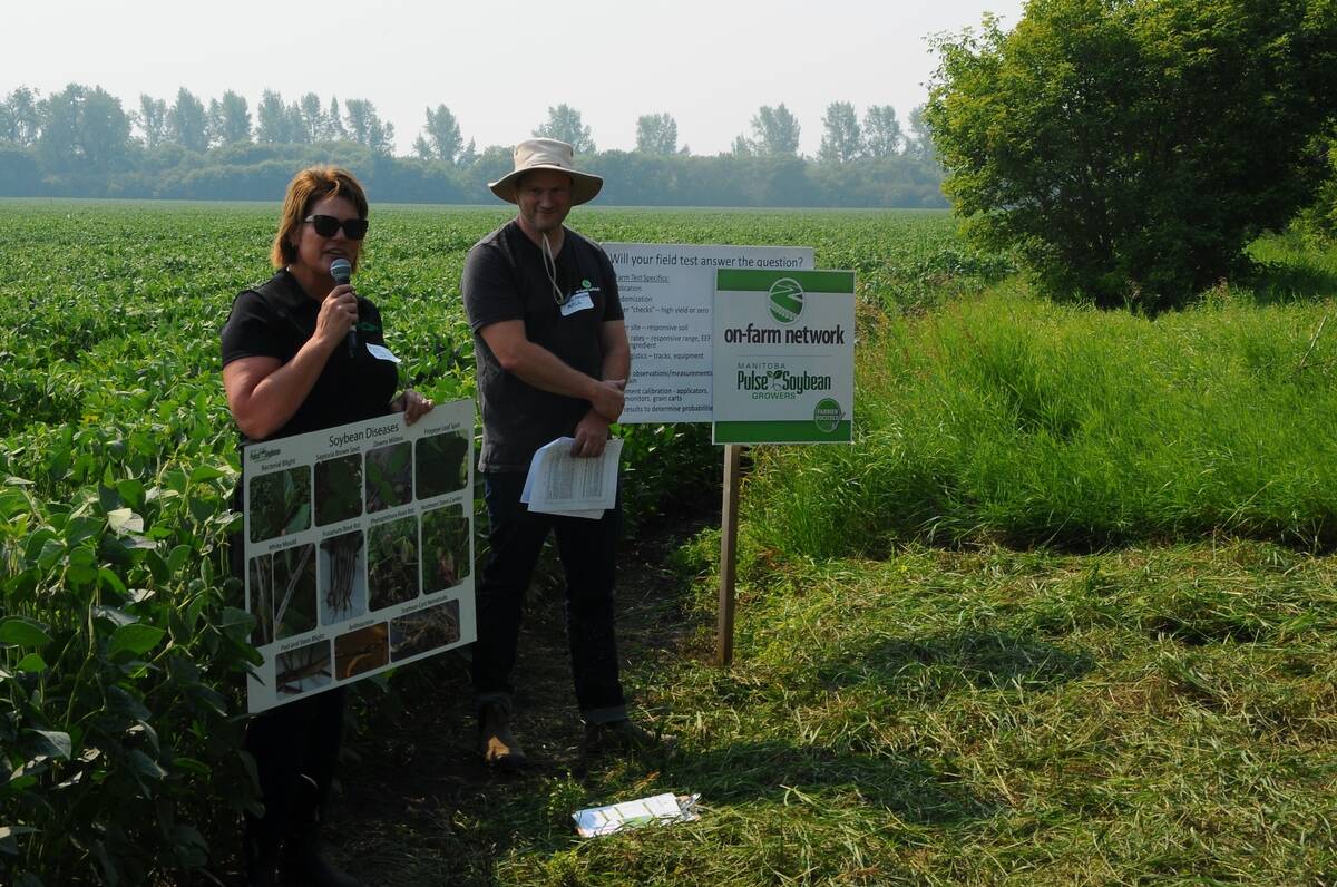 MPSG soybean agronomists Wendy McDonald and Chris Forsythe show soybean trial at Beaver Creek Farm. Photo: Gord Leathers