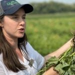 University of Manitoba research agronomist Kristen MacMillan discusses nodulation and nitrogen fixation in dry beans in front of her research plots in Carman, Man., in late July 2025.