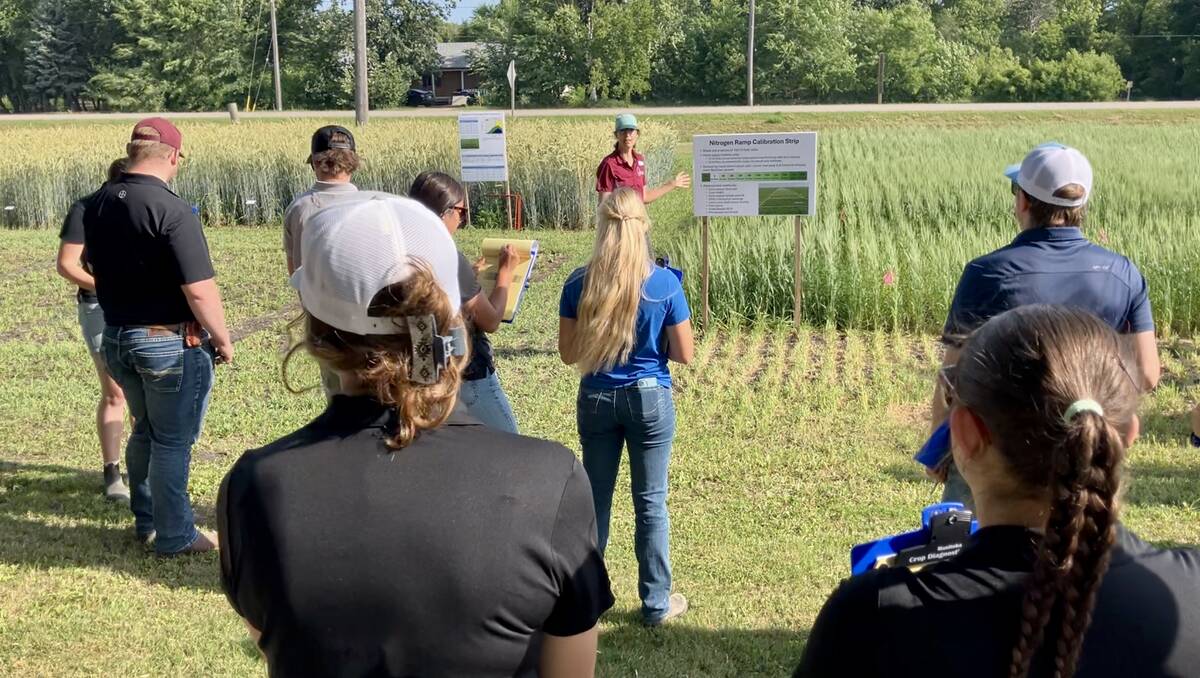 Anne Kirk (centre, maroon shirt), cereal crop specialist with Manitoba Agriculture, leads a session on nitrogen in winter cereals at Crop Diagnostic School in Carman, Man., on July 3.