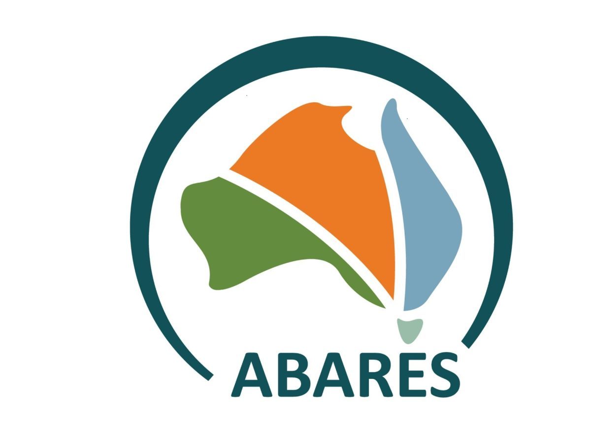 U.S. grains: Soybeans rise on soyoil rally; wheat, corn drop
