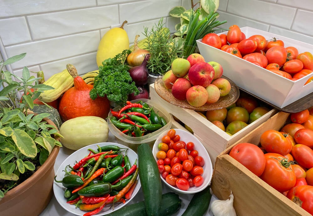 A beautiful bounty of fresh vegetables can be a daunting challenge for any gardener or home cook.