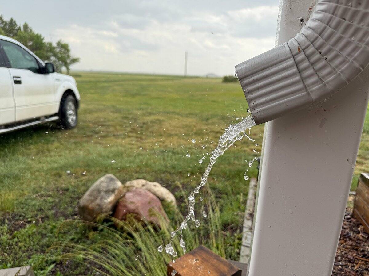 The June 20-22 rain will ensure that most producers harvest a crop in 2025.