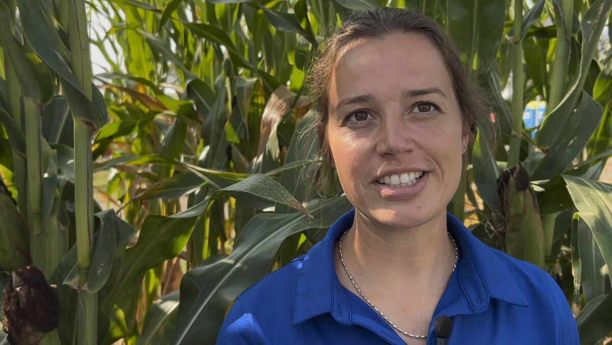 Annemarie Van Wely says rotation is key to managing corn pests. Photo: Gord Gilmour