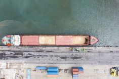 Photo: bfk92/Getty Images Plus
