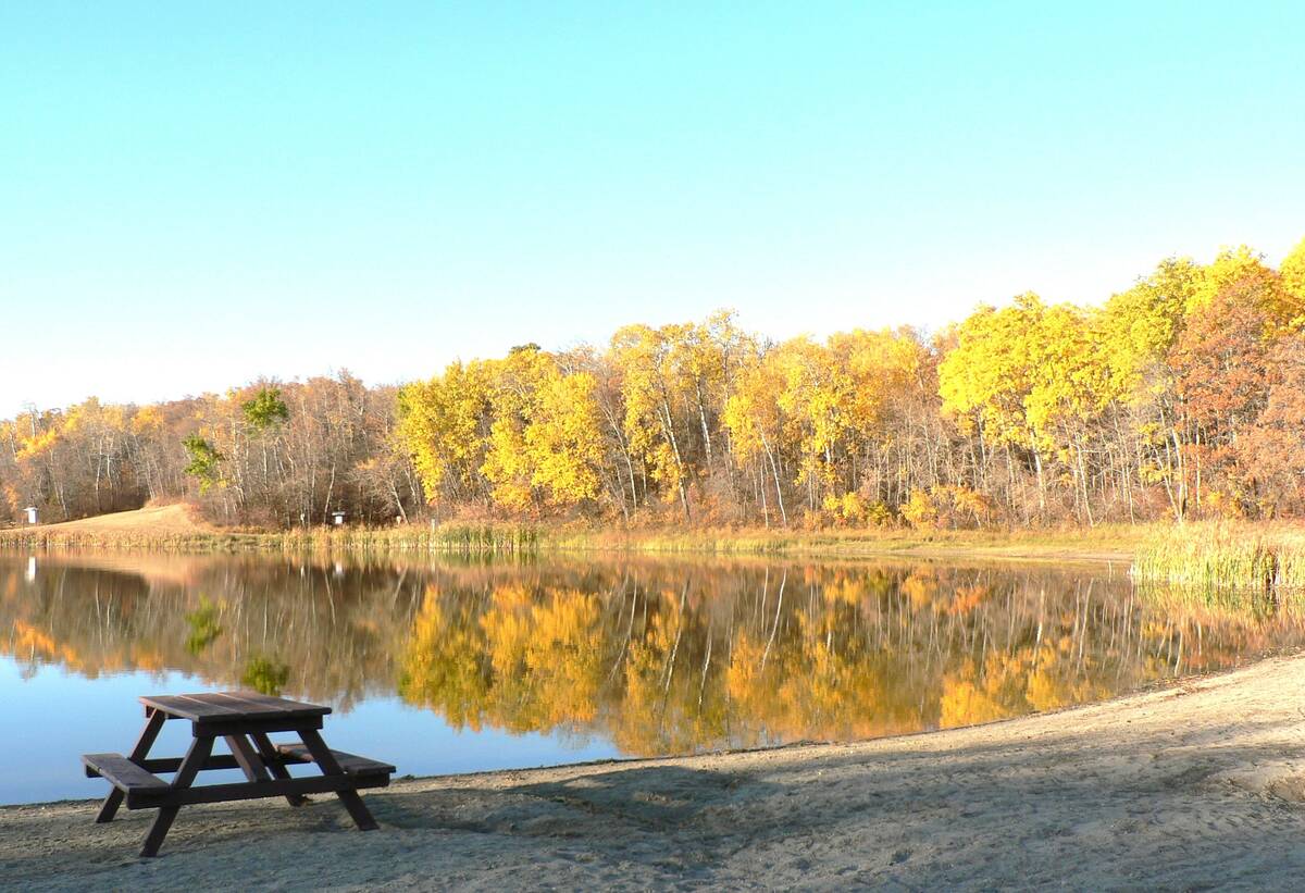 The beach at Adam Lake in Turtle Mountain Provincial Park sits deserted, despite the vibrant fall landscape.