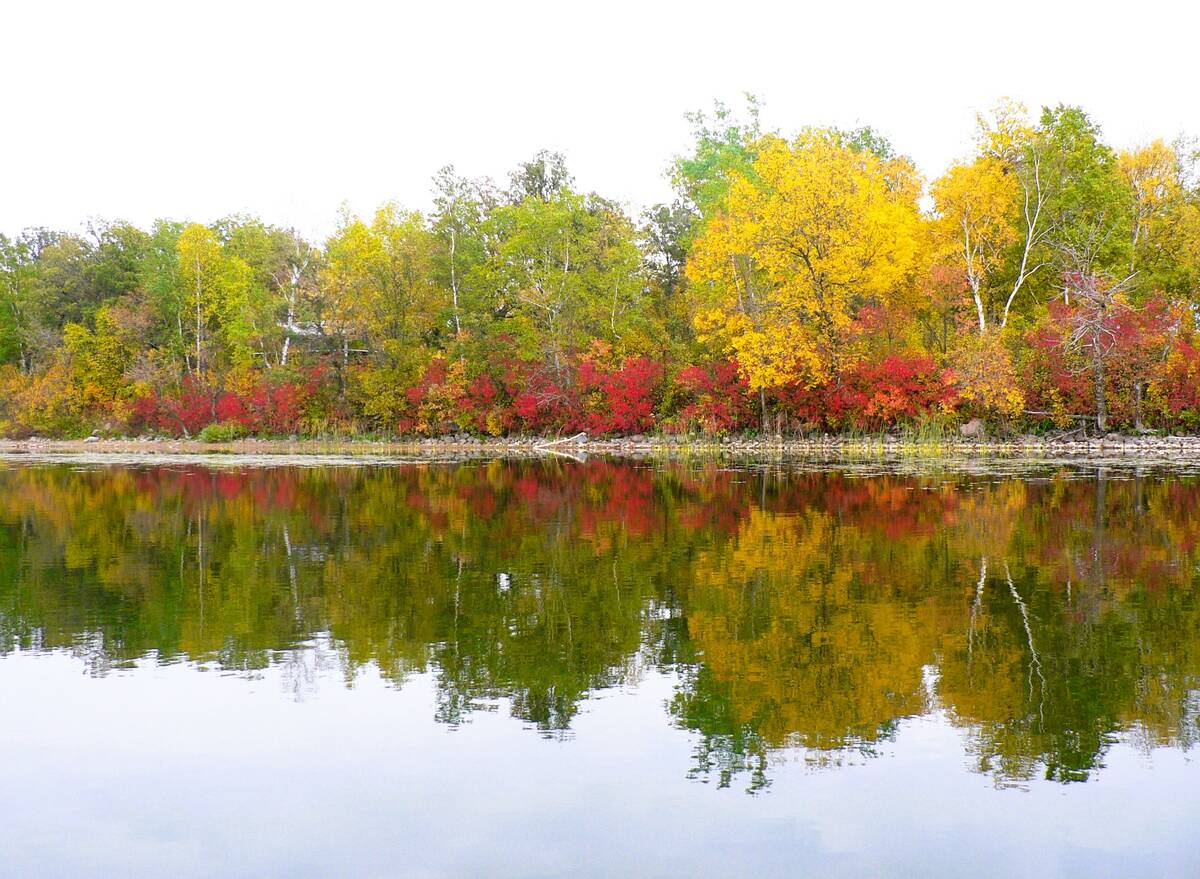 Still water on William Lake gives visitors a double, reflected dose of fall foliage. Photo: Donna Gamache