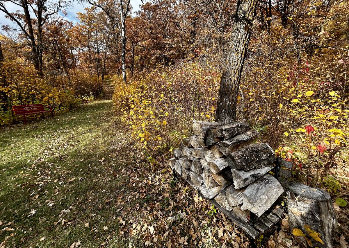 Outdoor enthusiasts in Manitoba take advantage of a last gasp of warm weather Oct. 12 in the Squirrel Hills near Minnedosa. PHOTO: ALEXIS STOCKFORD