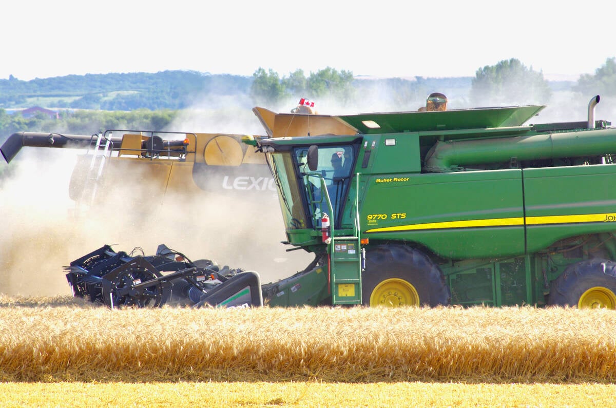 U.S. grains: Wheat slumps to new 10-year low on ample supplies