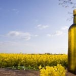 Manitoba searches for Plan B on canola oil exports