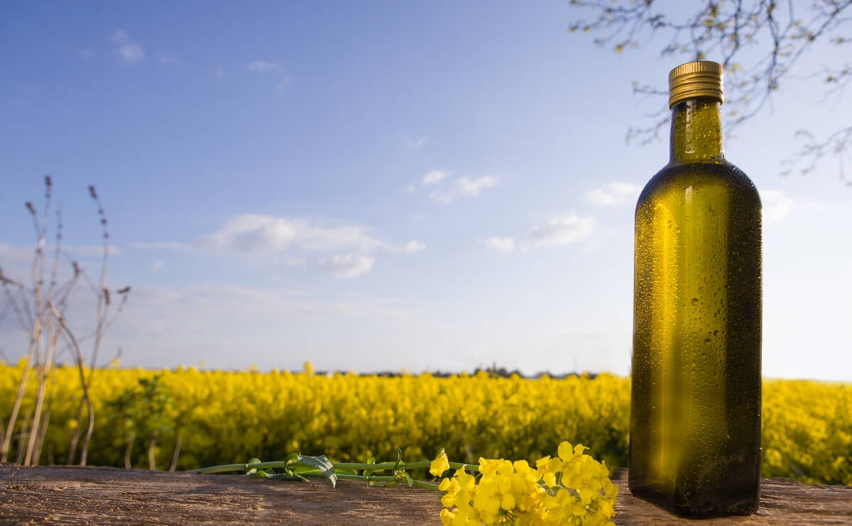 A bottle of canola oil in front of a blooming canola crop.
Photo: MAXSHOT/iStock/Getty Images
