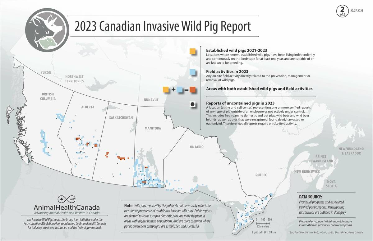 Animal Health Canada released the first national invasive wild pig report, in collaboration with provincial governments, on Sept. 9, 2025. Photo: Animal Health Canada