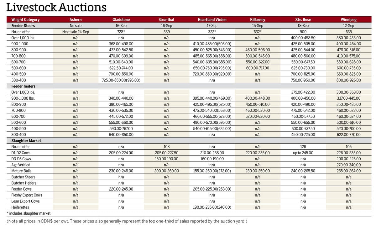 Manitoba cattle prices at auction sites during the week ended Sept. 18, 2025.
