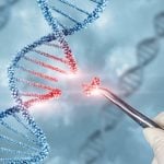 Concept of treatment and adjustment of DNA molecule.