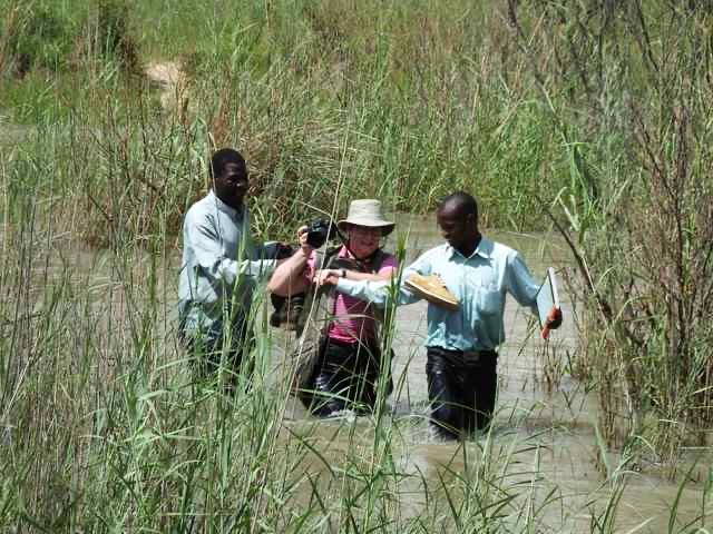 Laura Rance-Unger is guided across a rain-swollen river in Zambia during a five-week trip to three African nations in 2015 covering agriculture in development. Photo: Laura Rance-Unger
