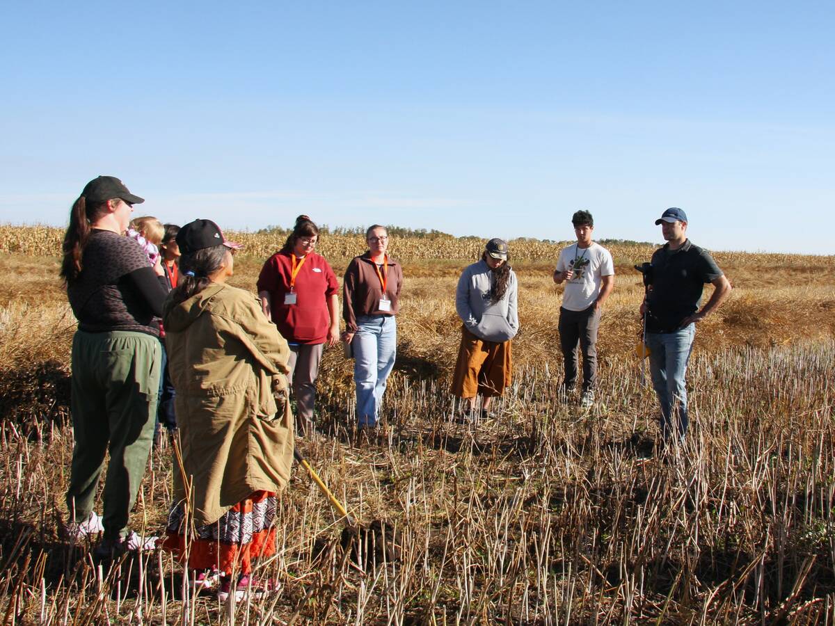 Attendees of the Indigenous Farm and Food Festival in Batoche, Sask., stand in a swathed canola field in late September 2025. Saskatchewan’s agriculture industry is also wrestling with reconciliation and how it gets put into action. Photo: Janelle Rudolph
