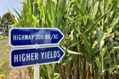 AgGronomyTV: Hitting 300 bushels per acre of corn