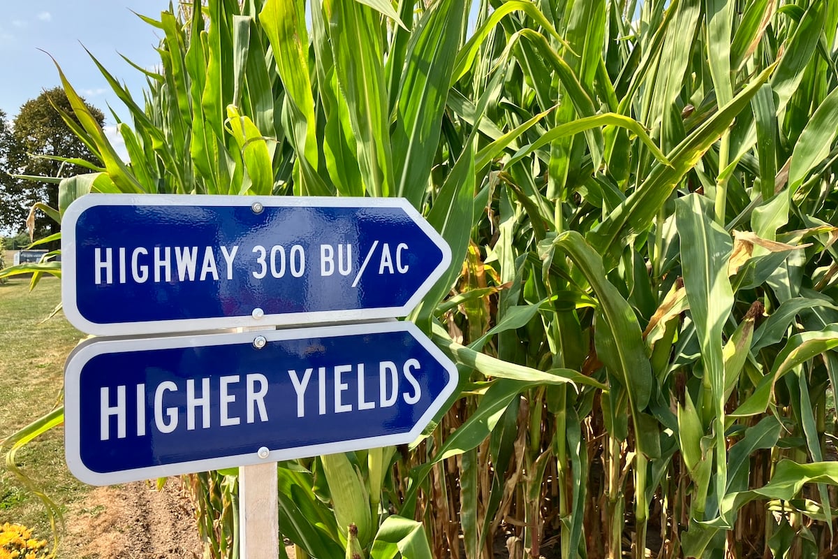 AgGronomyTV: Hitting 300 bushels per acre of corn