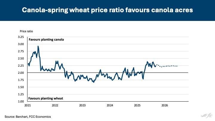 Despite canola’s tariff woes, a weak wheat market means the oilseed still beats out the cereal for potential profit. Source: Farm Credit Canda