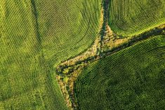 Photo: Shaunl/Getty Images Plus