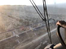 Wheat is straight cut as combines hit the fields to harvest in Binscarth, Manitoba on Sept. 25, 2025. Photo: Greg Berg