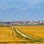 File photo from the Israel-Gaza border of a dirt road through fields at early harvest, toward the Gaza cityscape in the background.