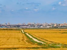 File photo from the Israel-Gaza border of a dirt road through fields at early harvest, toward the Gaza cityscape in the background.