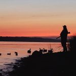 Sept. 1 marked the dawn of waterfowl hunting in Manitoba this year. Photo: Tim Sopuck