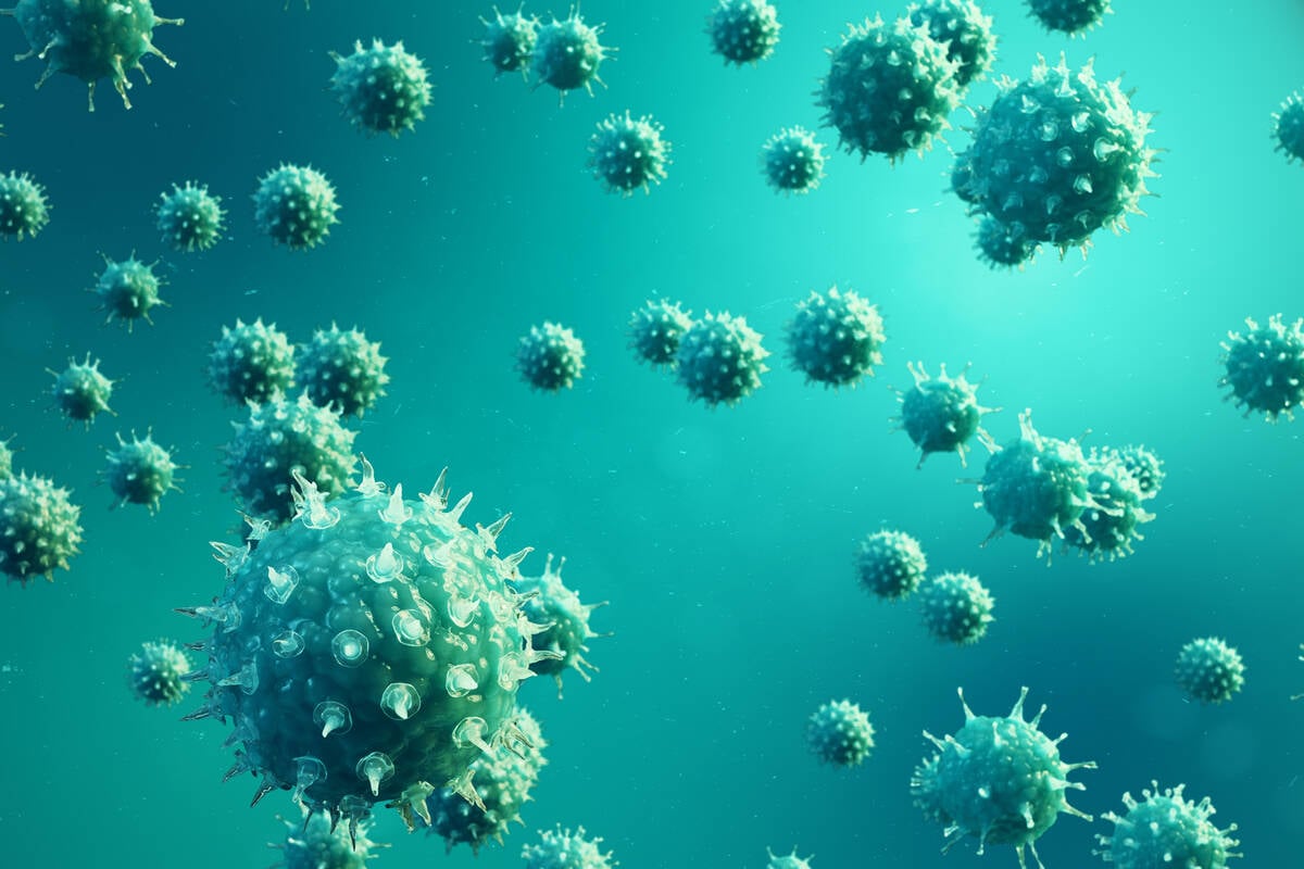 North America has had a string of bad bird flu years, including widespread jump of the disease to dairy cattle in the U.S. last year.