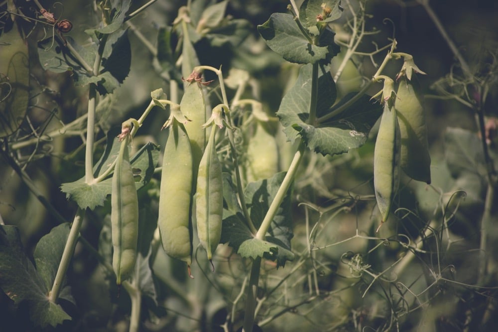 Photo: Thinkstock
