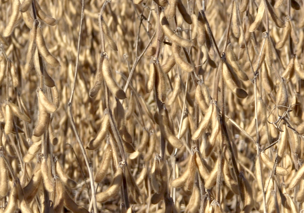 U.S. grain prices soar as floods shut waterways, threaten crops