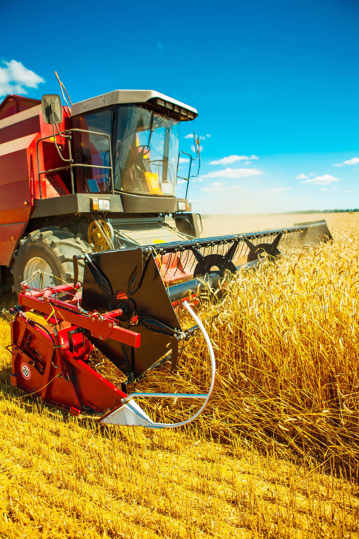 Canada’s grain industry, in general, is heavily reliant on exports. Photo: mihalec/iStock/GettyImages
