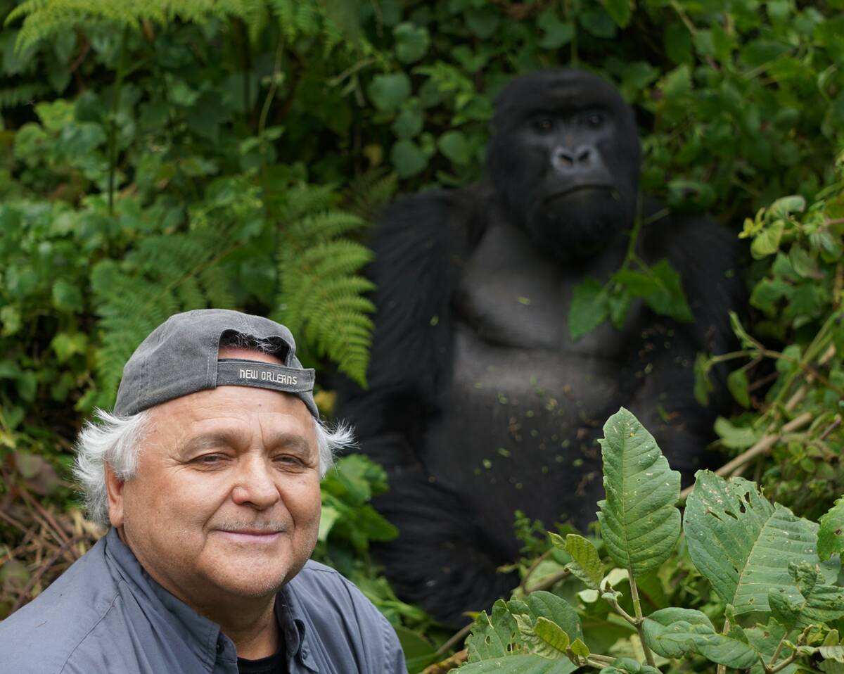 Philippe Sabourin poses with a gorilla in the background during his global travels. Photo: Submitted