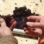 Organic farmers do not soil test as much as conventional farmers do, but it’s important to understand the nutrient levels in all soils used for crop production.
