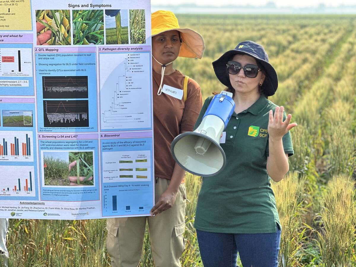 University of Manitoba researcher, Shaheen Bibi, discusses her BLS field trials at a field day in Carman, Man. Photo: Don Norman