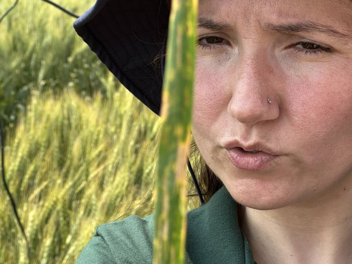 Shaheen Bibi of the University of Manitoba discusses symptoms of bacterial leaf streak. Photo: Don Norman