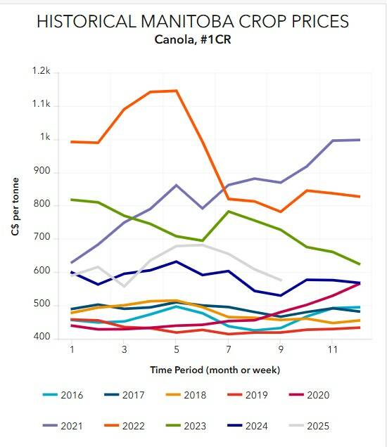 Historic canola prices in Manitoba. Photo: Manitoba AgricultureManitoba canola prices have been on a downwards trend for several month, although some 2024 prices were lower. Photo: Manitoba Agriculture
