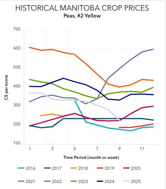 Yellow pea prices in Manitoba in 2025 as of September sat at the lowest they’ve been all decade. Image: Manitoba Agriculture