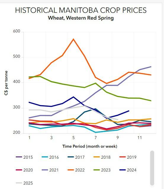 Wheat markets this year have been less than impressive for local farmers. Image: Manitoba Agriculture