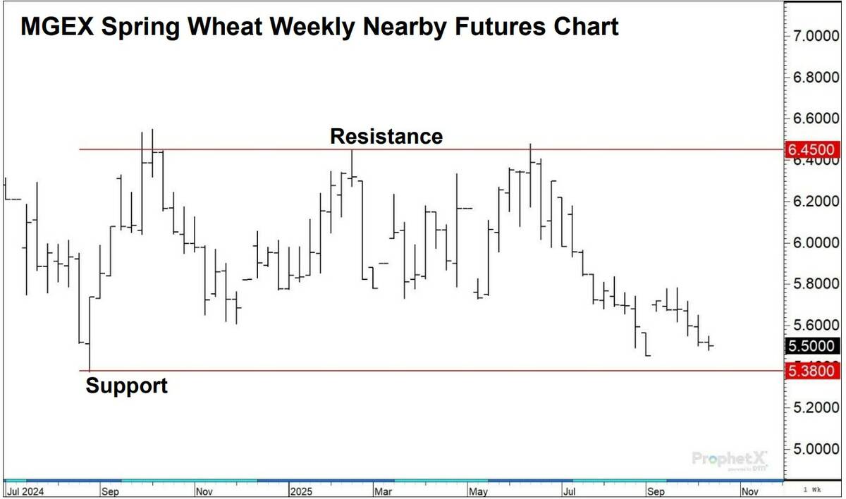 Spring wheat weekly nearby futures at the Minneapolis Grain Exchange. Image: David Drozd