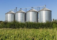 four silver grain silos in field under bright blue sky