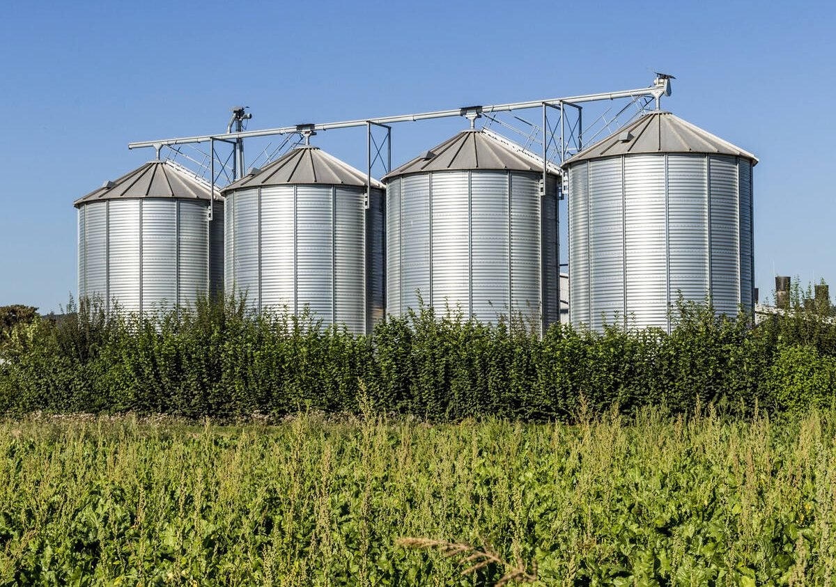 four silver grain silos in field under bright blue sky