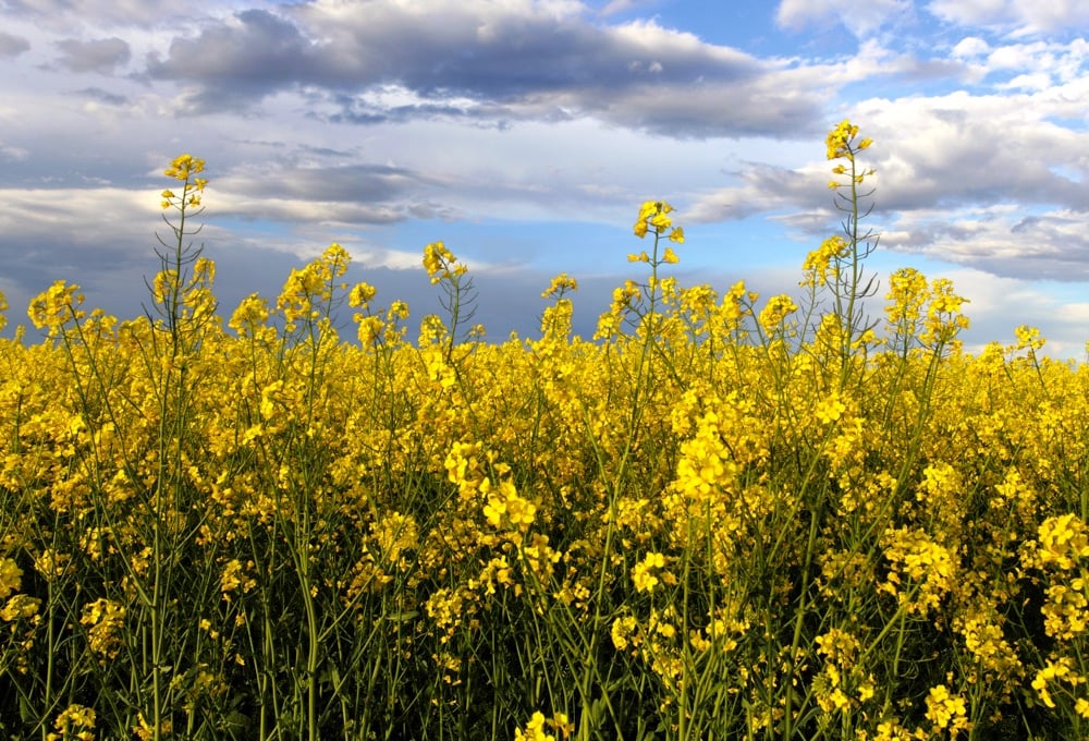 Photo: Thinkstock