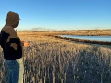 using a drone to broadcast seed into a stubble field following harvest in late October when soil temperature is adequate. submitted by Jodie Horvath.