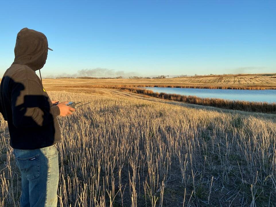 using a drone to broadcast seed into a stubble field following harvest in late October when soil temperature is adequate. submitted by Jodie Horvath.
