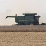 An Iowa farmer harvests soybeans Sept. 29, 2025.