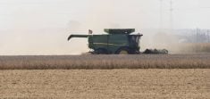 An Iowa farmer harvests soybeans Sept. 29, 2025.
