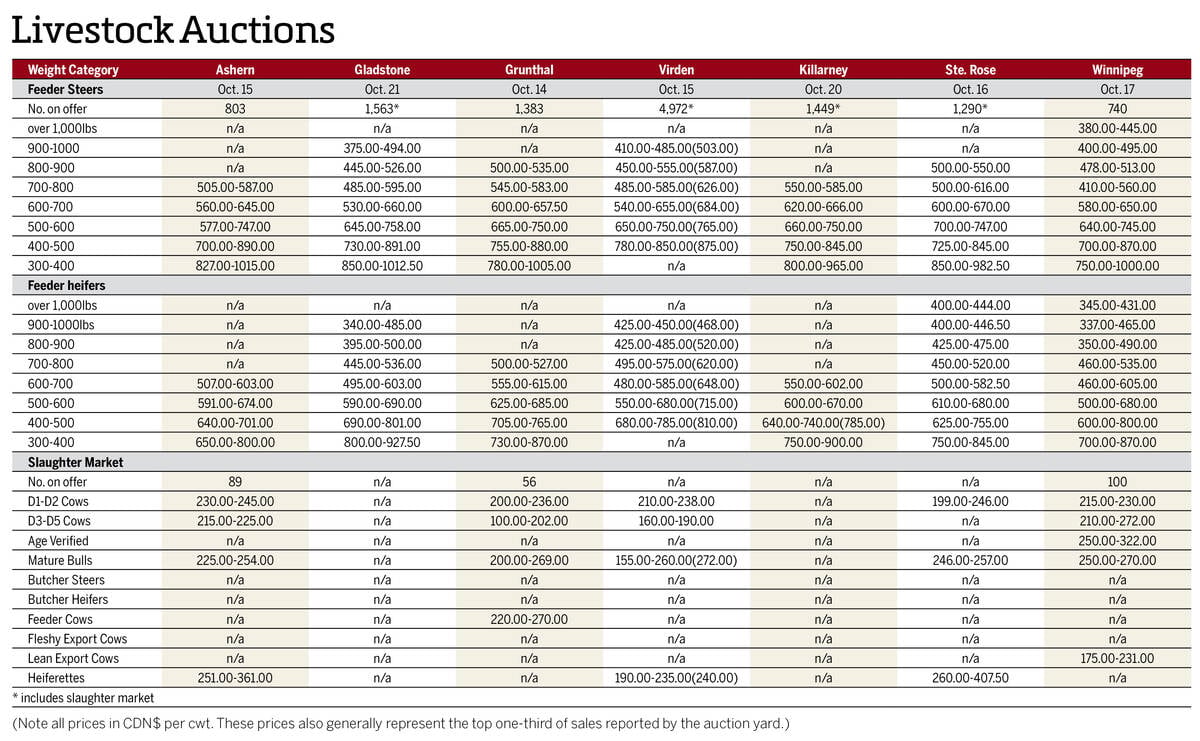 Prices from Manitoba's seven cattle auctions for the week of Oct. 14 to 21, 2025.